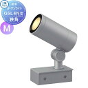 三協アルミ 三協立山 GSL4N型 Mediumタイプ 狭角 DC 12V・24V LED一体型 12V・24V(専用トランス必要) 本体のみ スパイク別