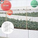  スチールメッシュフェンス 四国化成 シコク EMF1F型用 固定金具 H1200 74KK-A ガーデン DIY 塀 壁 囲い 境界 屋外