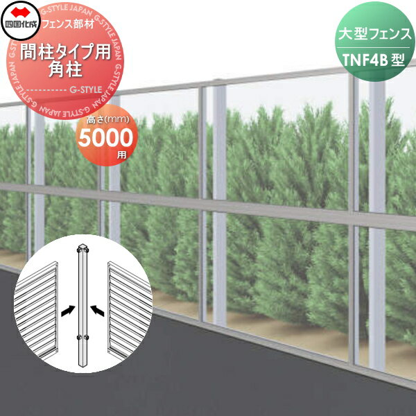 ʡ ɲ緿ե ͹  TNF 4B 쥿  H5000 (90) 61DRP-50 ǥ DIY...
