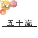 表札 サイン ステンレス LIXIL 切り文字サインF デザインB 幅300mm イメージ:ブラック 漢字:デザイン隷書 シミュレーション対応 戸建て オーダー...