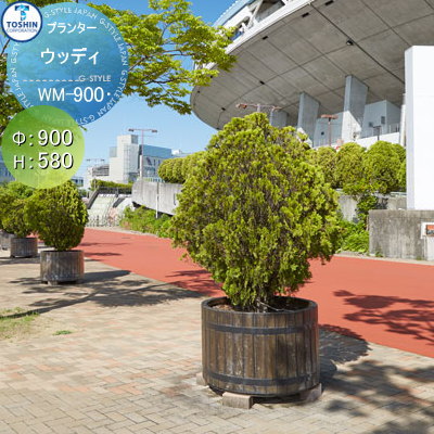 ̵ŵա ץ󥿡 TOSHIN ȡ󥳡ݥ졼 Ȥ߹碌 ޤ åǥ 900H580 ĿؤãԲ...