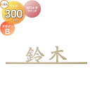 表札 サイン ステンレス LIXIL 切り文字サインF デザインB 幅300mm イメージ:ゴールド 漢字:白舟楷書 シミュレーション対応 戸建て オーダー リ...