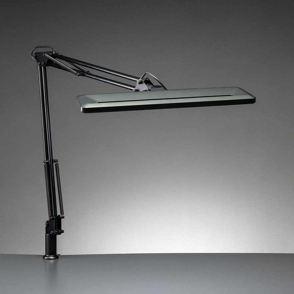 ľ LEDǥ饤 Z-1000B ֥å 鿧  ̵ʳĴ ץ Ǯ80W Z饤 Z-Light...