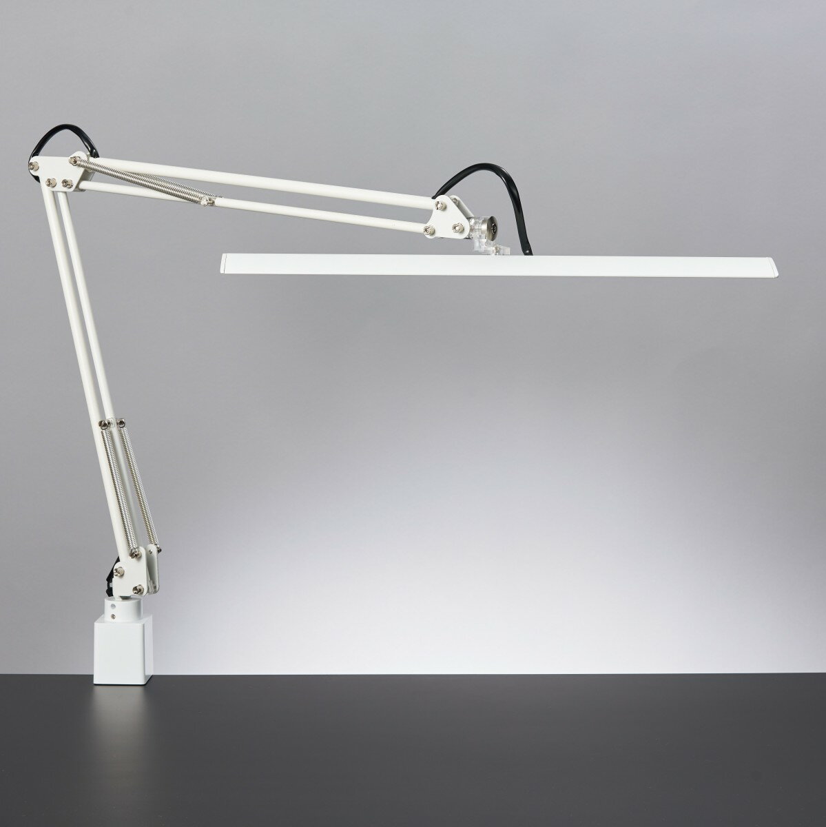 ľ LEDǥ饤 Z-10RW ۥ磻 鿧  ̵ʳĴ ꥿ Z饤 Z-Light åȥ饤