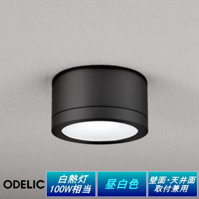 【店内全品ポイント5倍】エクステリア 屋外 照明 ライトオーデリックODELIC ポーチライト OG254602ND 昼白色白熱灯100W相当 黒色 丸型 デザイン 昼白色 LED ブラケットライト ポーチライト 玄関灯 玄関照明 門柱灯