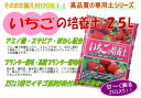 sk-shop:10000086のサンプル画像2