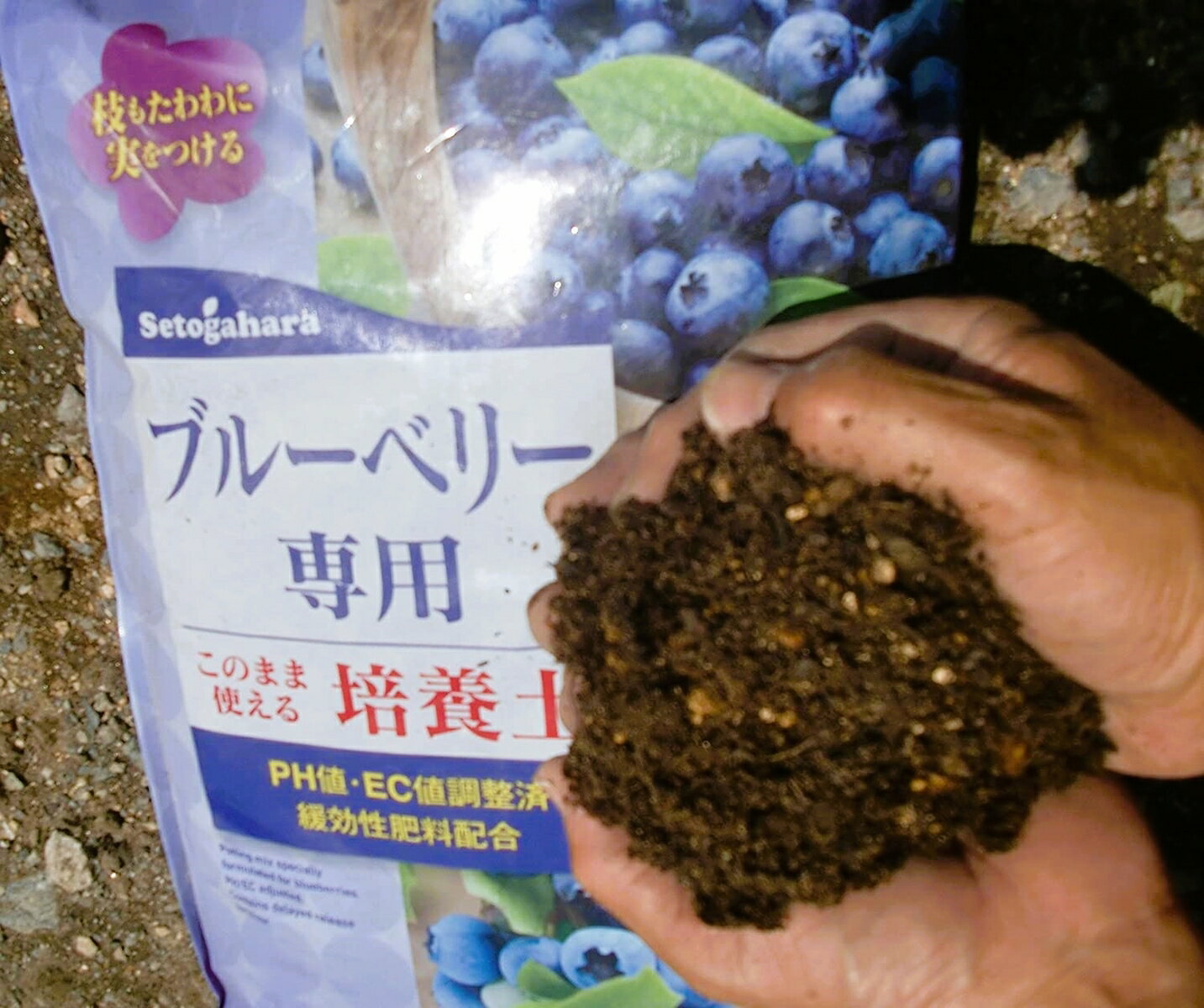 ブルーベリー専用培養土　12L×3　≪お得な3個セット≫