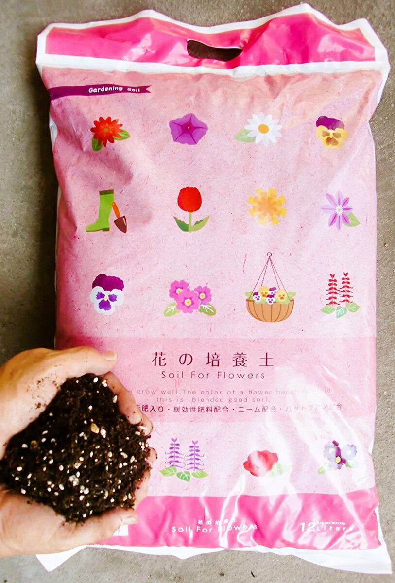 �֤��ڡ��ե��������ǥ󡡲��š������ץ�󥿡��֤��ڡ��֤������ڡ�12L