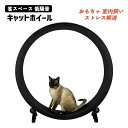 キャットホイール 回し車 省スペース 低騒音 キャットタワー 猫ホイール ランニングマシーン 猫 運動不足解消 ダイエット ストレス解消 ストレス発散 運動不足...