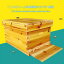 巣箱 養蜂箱養蜂器具蜂蜜蜂の巣箱 ミツバチ セット蜜蜂巣箱7/ 10フレーム 蜜蜂の巣箱と道具 蜂蜜キーパー みつばち巣箱 耐久性のあります 防水性と防食性 杉木巣