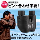 期間限定セール中!双眼鏡 望遠鏡 コンサート 高倍率 ライブ用 ドーム 10倍 軽量 観劇 コンパクト 子供 スポーツ観戦 バードウォッチング オペラグラス ス...