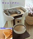 キャットタワー 大型猫 据え置き型 猫タワー ハウス 麻紐 爪とぎ付き おしゃれ 省スペース 猫 猫用 ねこ
