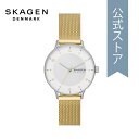 XJ[Q rv AiO NH[c fB[X S[h XeXX`[ RIIS SKW3092 2023  SKAGEN 