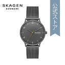 スカーゲン スカーゲン 腕時計 アナログ クォーツ メンズ ガンメタル ステンレススチール RIIS SKW6884 2023 夏 SKAGEN 公式