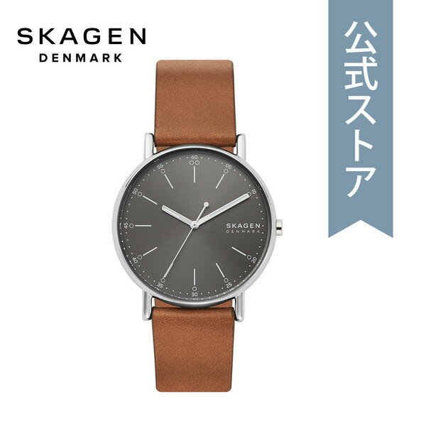 高級なメンズ腕時計 腕時計 メンズ スカーゲン アナログ 時計 ブラウン レザー SIGNATUR SKW6578 SKAGEN 公式 ブランド 北欧 シンプル 防水 誕生日 プレゼント 記念日 ギフト