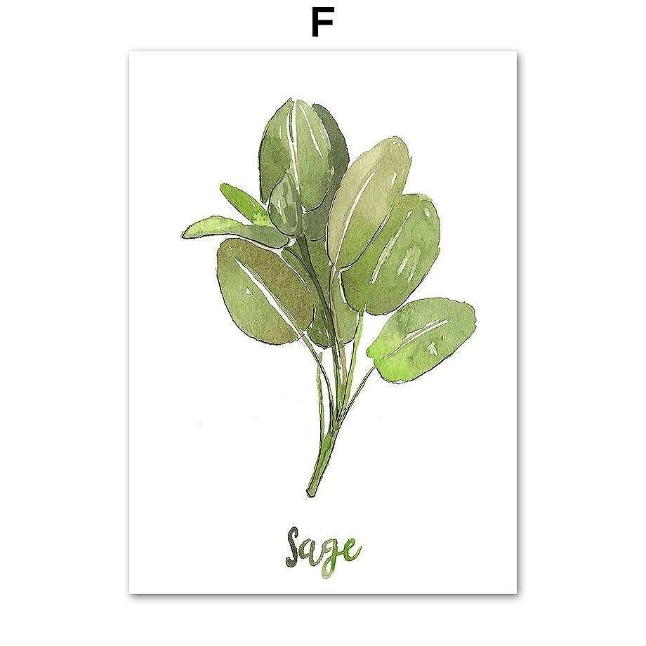 アートポスター フレーム付・アートパネル額付 水彩画植物 ボタニカル シリーズ セージ デザインNO-F A..