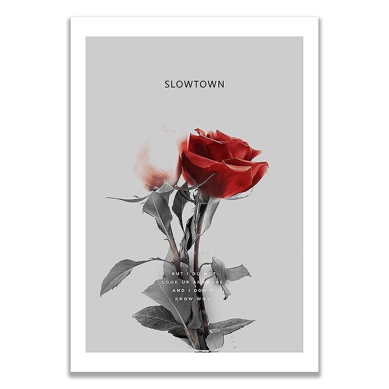 Rakuten - アートポスター フレーム付・アートパネル額付 植物 ボタニカル 画シリーズ 薔薇 デザインNO-A A4 A3 A2