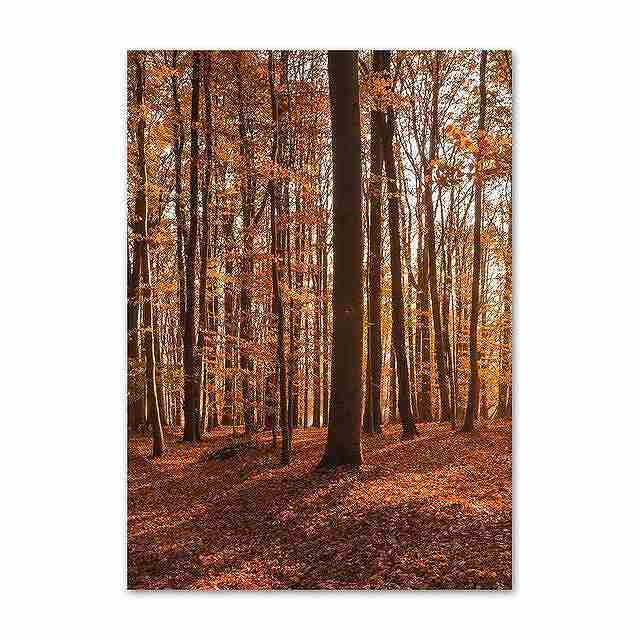 アートポスター フレーム付・アートパネル額付 秋シリーズ デザインNO-L A4 A3 A2