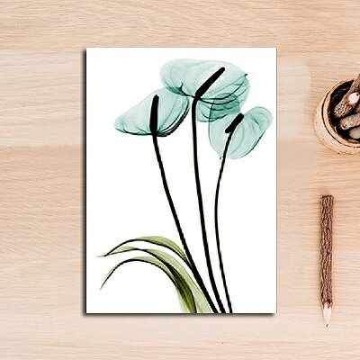 アートポスター フレーム付・アートパネル額付 北欧 レントゲン追加購入なしで、アートポスター フレー..