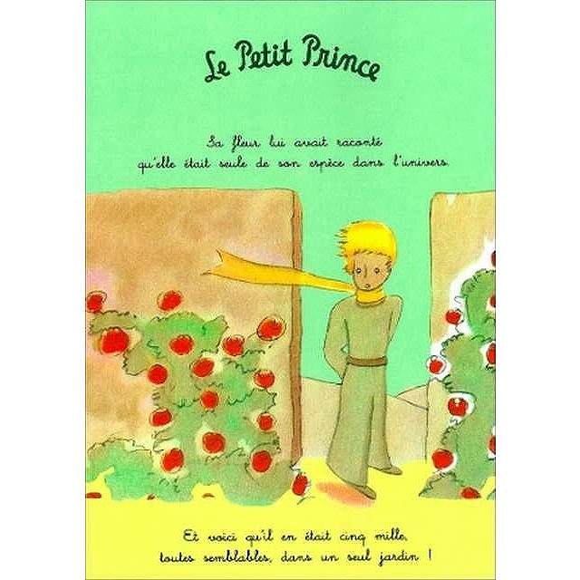 アートポスター フレーム付おしゃれ アートパネル 絵画 壁 絵 星の王子さまシリーズ デザインNO-5