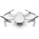 DJI Mini 2、リモートID対応、折りたたみ可能な超軽量ドローン、リモコン 4Kカメラ搭載3軸ジンバル、12MP、飛行時間18分、OcuSync 2.0による6 km HD動画伝送、クイックショット、初心者向けドローン、グレー