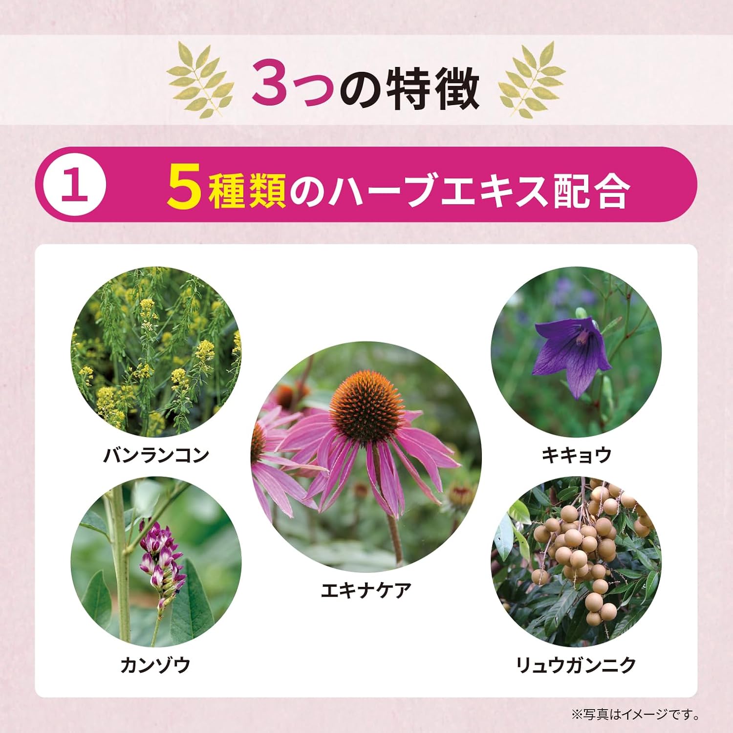 3袋セット 松浦薬業 エキナケアのど飴 52g ノンシュガー 個包装 メントール エキナセア 静岡倉庫