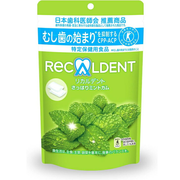 リカルデント さっぱりミントパウチ スタンドパウチ 大容量 280g　(メーカー賞味期限2025年4月末)
