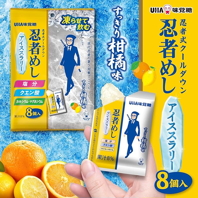 忍者めし アイススラリー 176g (22g×...の紹介画像2