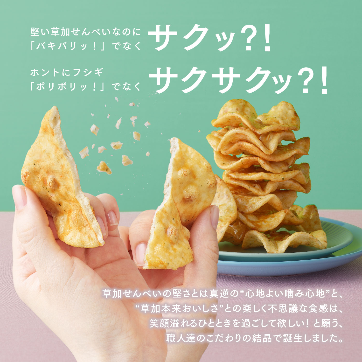 せんべい やっぱり草加 12袋セット 個包装 送料無料 風見米菓 醤油 草加せんべい ギフト 贈り物 お菓子 お土産 手土産 煎餅 お煎餅 おせんべい 大量 大容量 米菓 和菓子 日持ち 父の日 母の日 敬老の日