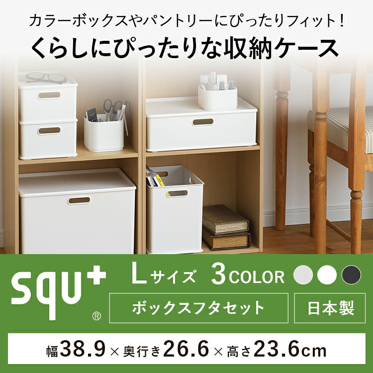 収納ケース 小物 INBOX （インボックス） LとプレートMLのセット NIB-L NIB-PML sq...