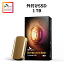 【メーカー保証3年】SK hynix Beetle X31 1TB 外付けSSD DRAM付き 読込み速度 最大1050MB/秒 USB 3.2 Gen2 シャンパンゴールド SKHPU3-001T-S1CG00 その1