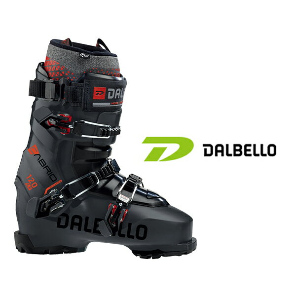 DALBELLO ٥ Ÿץ롦 ֡ 2024CABRIO LV 120 ̵ ӥ֥ꥪ