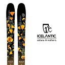 ICELANTIC アイスランティック スキー板 レディース 《2024》 NIA PRO 105 ニア プロ (板のみ) 〈 送料無料 〉