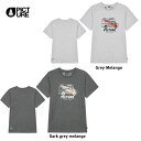 Tシャツ ピクチャー PICTURE CUSTOM VAN TEE:MTS1036