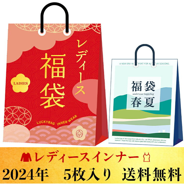 レディースインナー 福袋 5枚 セット 送料無料 肌着 下着