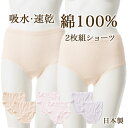 綿 100 吸水 速乾 ショーツ 2枚組 春夏 レディース 通気 性 シャリ感 スタンダード パンツ パンティー お肌に優しい レース付き 国産 日本製 締め付けない 深め 深ばき 婦人 女性 下着 肌着 ベージュ/ピンク/パープル M/L/LL C5418P-E