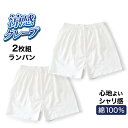 クレープ肌着 紳士 ピケプリントランパン 2枚 セット メンズ 春夏 綿 100% 下着 インナー 夏用 ランパン パンツ 男性 抗菌 防臭 L0258E-R