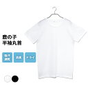 サマーSALE【28%OFF!!7/12 9:59迄】いつもサラリ 快適 DRY シャツ インナー メンズ 春夏 トップス 鹿の子 ドライ 吸汗速乾 消臭 半袖 丸首 男性 肌着 30代 40代 50代 60代 紳士 下着 L0290E-R