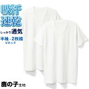 ルクール鹿の子 V首 半袖 Tシャツ 2枚 セットでお得!! メンズ 春夏 肌着 下着 インナー 消臭 吸汗 速乾 30代 40代 50代 60代 紳士 送料無...
