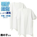 ルクール鹿の子 U首 半袖 Tシャツ 2枚 セット メンズ 春夏 肌着 下着 インナー 消臭 吸汗 速乾 30代 40代 50代 60代 紳士 送料無料 男性 綿混 Uネック 父の日 L0602E-E