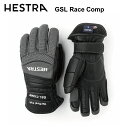 HESTRA ヘストラ GSL Race Comp スキーグローブ 革グローブ メンズ レディース 耐久性 摩擦軽減 暖かい 保湿性 丈夫 裏起毛 手袋 3フィ...