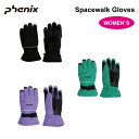 PHENIX フェニックス Spacewalk gloves スキーグローブ スキー スノボ 冬 アウトドア 雪山 ESW23GL52 正規品