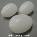 食品サンプル 玉子 (白玉) 10個 IP-501