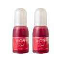 PADICO パジコ UVレジン用着色剤 宝石の雫 10ml 2本セット Red レッド 403035