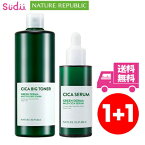 【2点セット】送料無料 ★国内発送★nature republic グリーンダーマ シカビッグトナー CICA TONER シカセラム CICA SERUM シカ ニキビ トラブル 集中ケア 肌荒れ 鎮静 水分 保湿 美肌 セット商品 ギフト