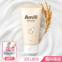 Amill 限定オマケ付 エイミル スーパーグレイン フォームクレンジング 100ml 穀物自然由来成分 国内発送 SUPER GRAIN Foam Cleansing 洗顔 泡立て 韓国コスメ