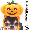 ハロウィン 帽子 パンプキンキャップ Sサイズ チワワ 服 犬 ハロウィン 帽子 小型犬 犬用 仮装 コスプレ イベント かぼちゃ 衣装 アイデア 被り物 面白い ジャックオーランタン コウモリ カボチャ コスチューム かぶりもの キャップ