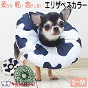 犬 エリザベスカラー クッション ドーナツ S/M チワワ 小型犬 子犬 ペット o型 布 sサイズ mサイズ 術後 エリザベス エリカラ 手術 治療 療養 避妊 去勢 保護 介護 ソフト ドーナツ 軽い 軽量 お手入れ お手入れ用品 ペット用品 犬用品 ペットグッズ 犬グッズ