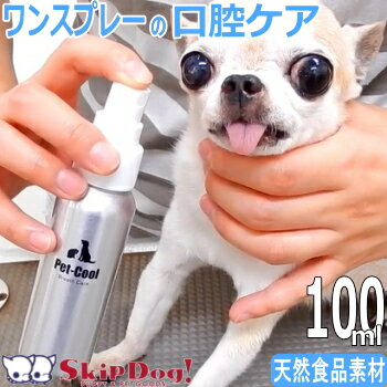 ペットクール ブレスケア 100ml 犬 歯