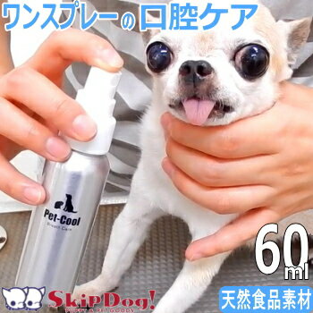 ybgN[ uXPA 60ml  ݂  ^ ` v[h _bNX  ݂͂  WF V[g L Xv[ f^PA S VR Hi f^ WF uV ͂Ԃ炵 ybg pi pi